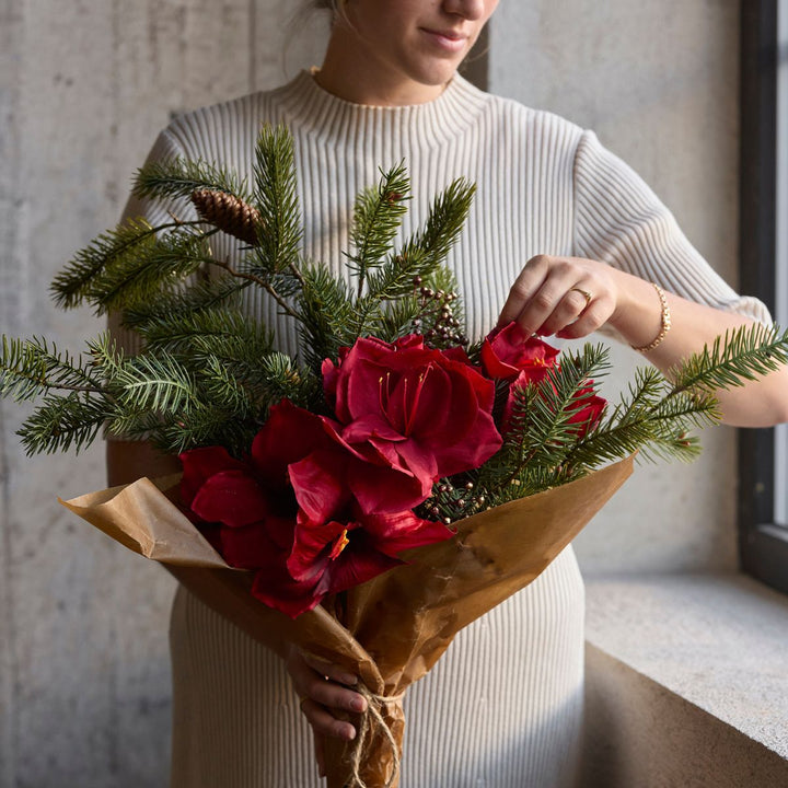 Mr.Plant Amaryllis 60cm