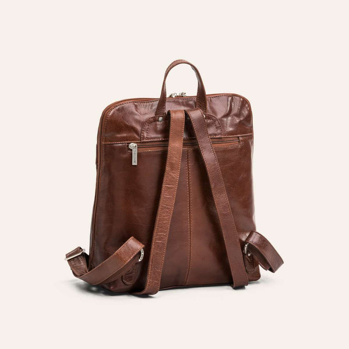 The Monte Backpack Bridge