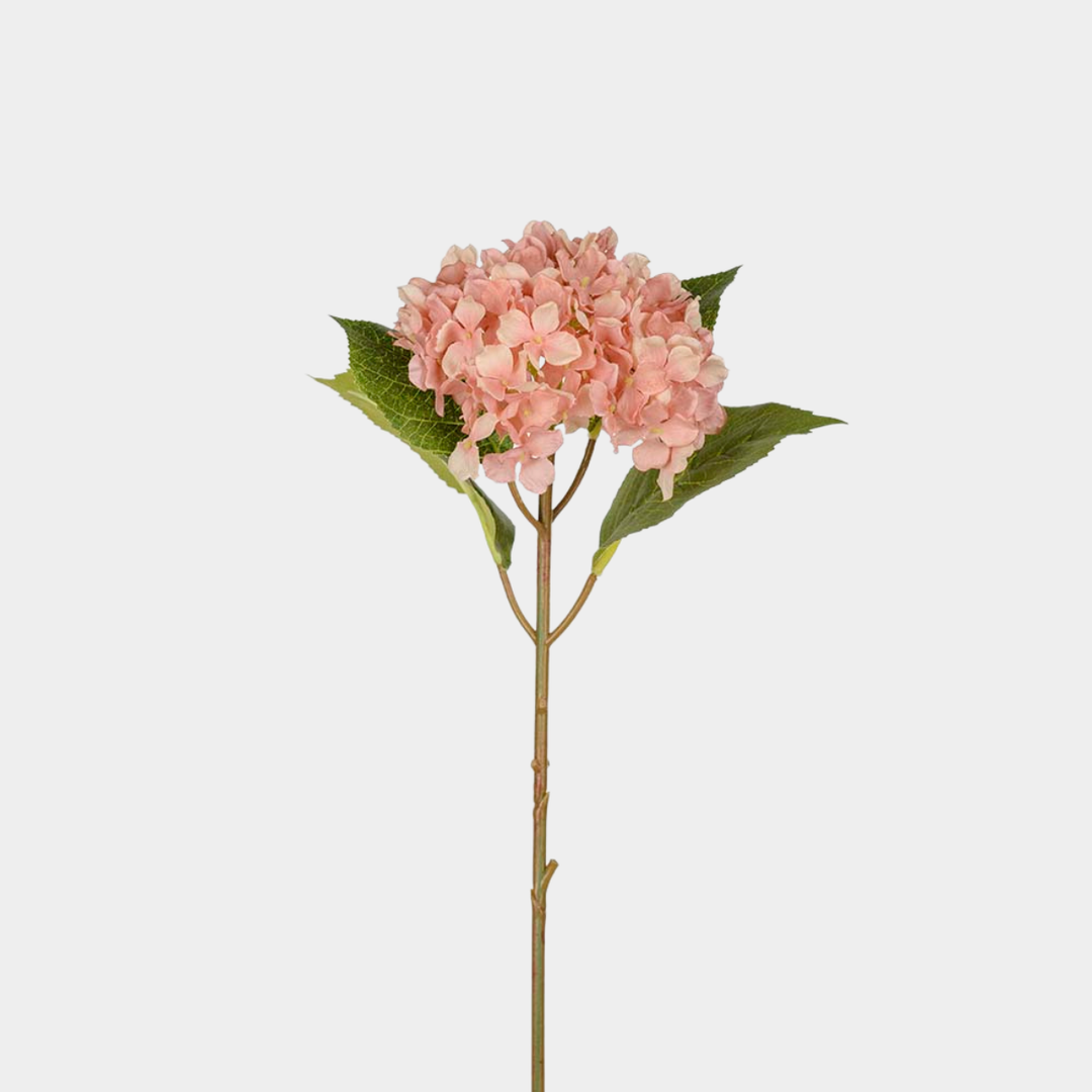 Mr. Plant  Hortensia rosa 40cm