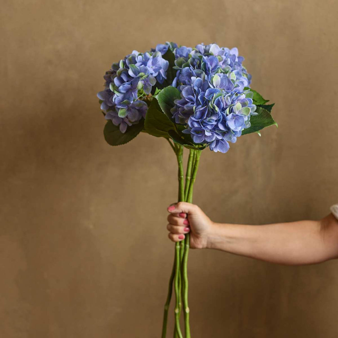 Mr. Plant 1 stk Hortensia 40cm, blå