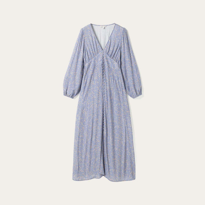 Noella Lilith Maxi Dress Donata Sky Print W