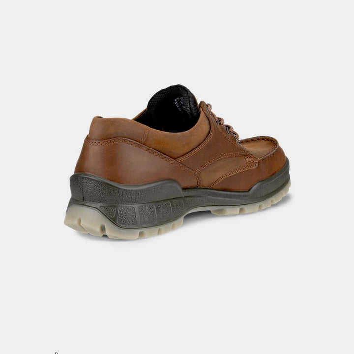 ECCO Track 25 GTX Brun M