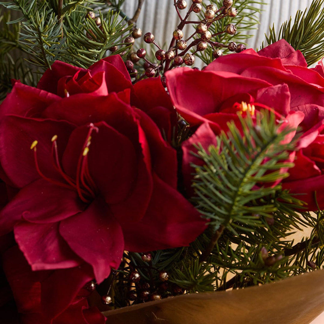 Mr.Plant Amaryllis 60cm