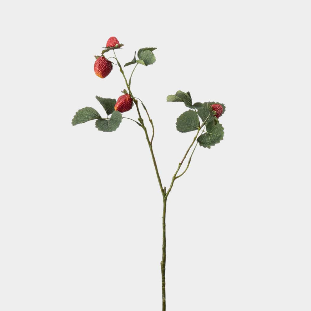 Mr.Plant Jordbærkvist 50cm