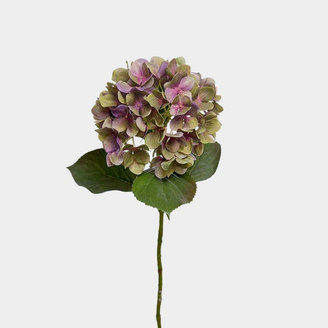 Mr.Plant Hortensia lilla 65cm