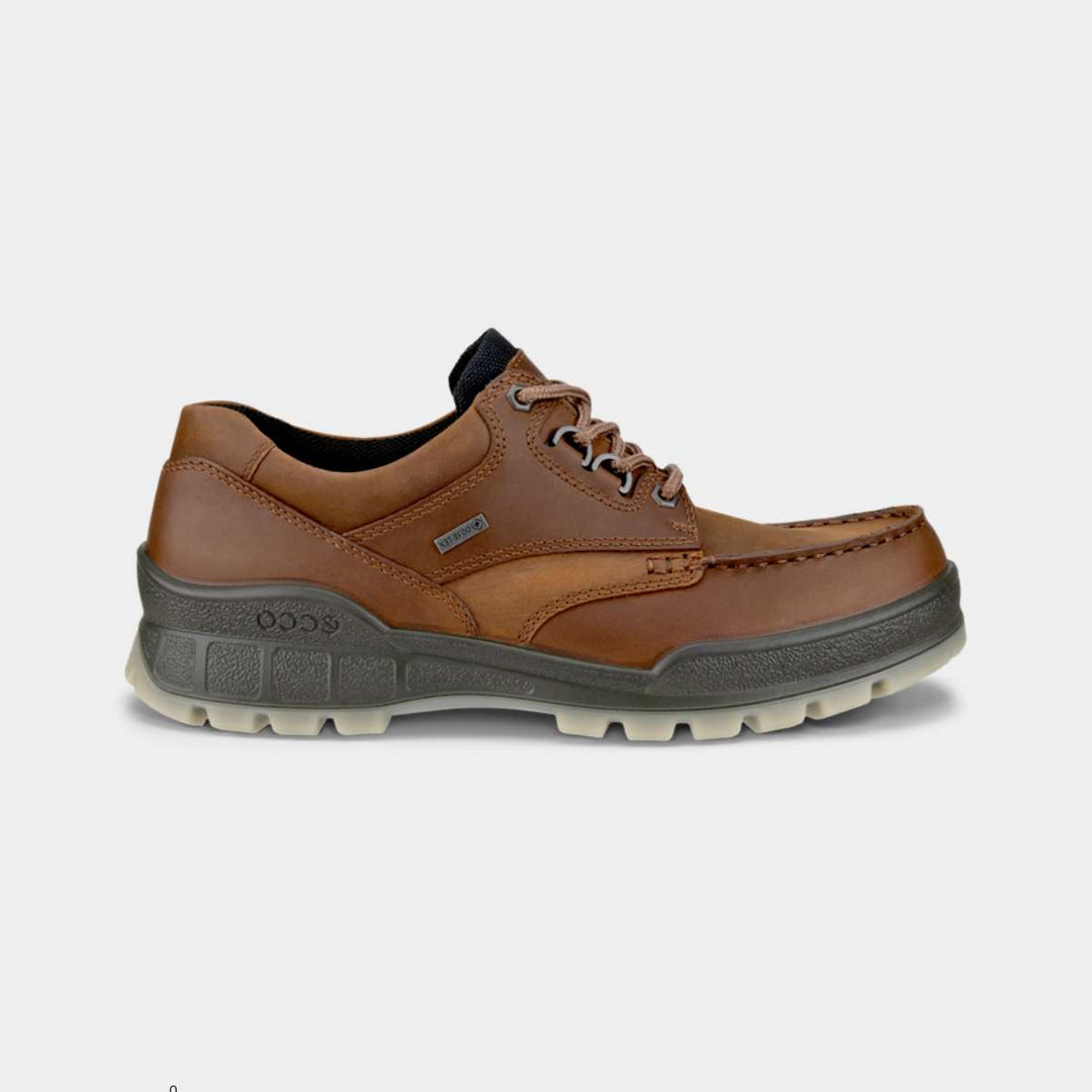 ECCO Track 25 GTX Brun M