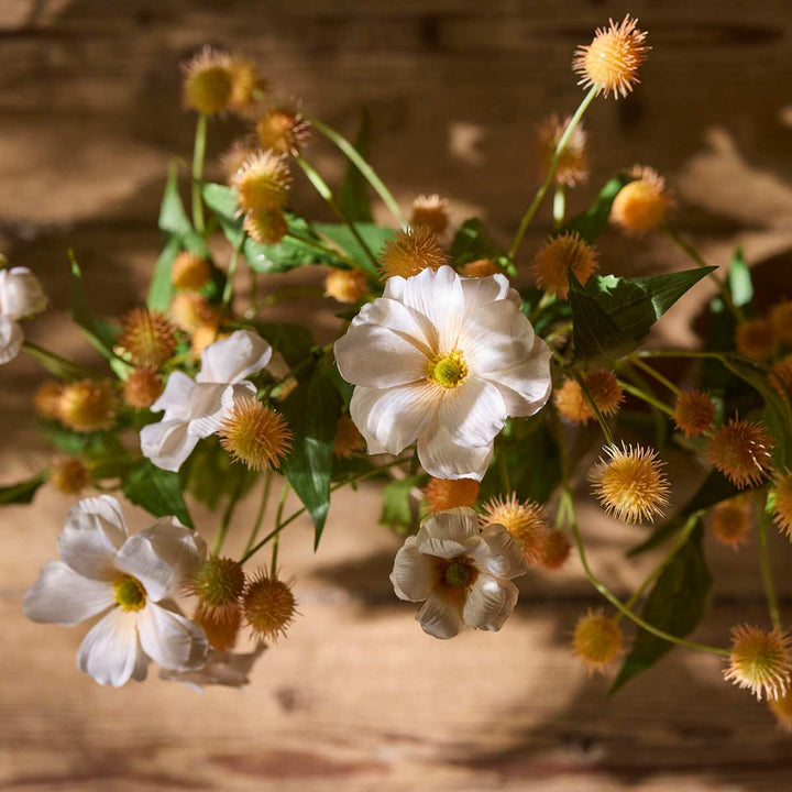 Mr.Plant Tistel 58cm