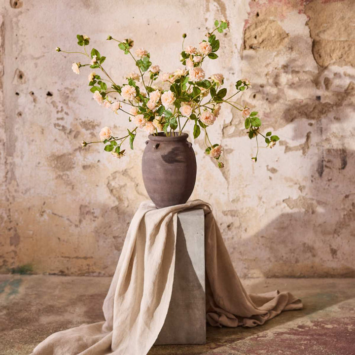 Mr. Plant Klatrerose 85cm