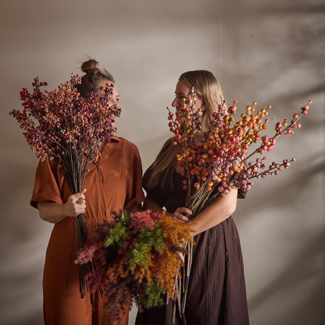 Mr.Plant Asparges 75cm