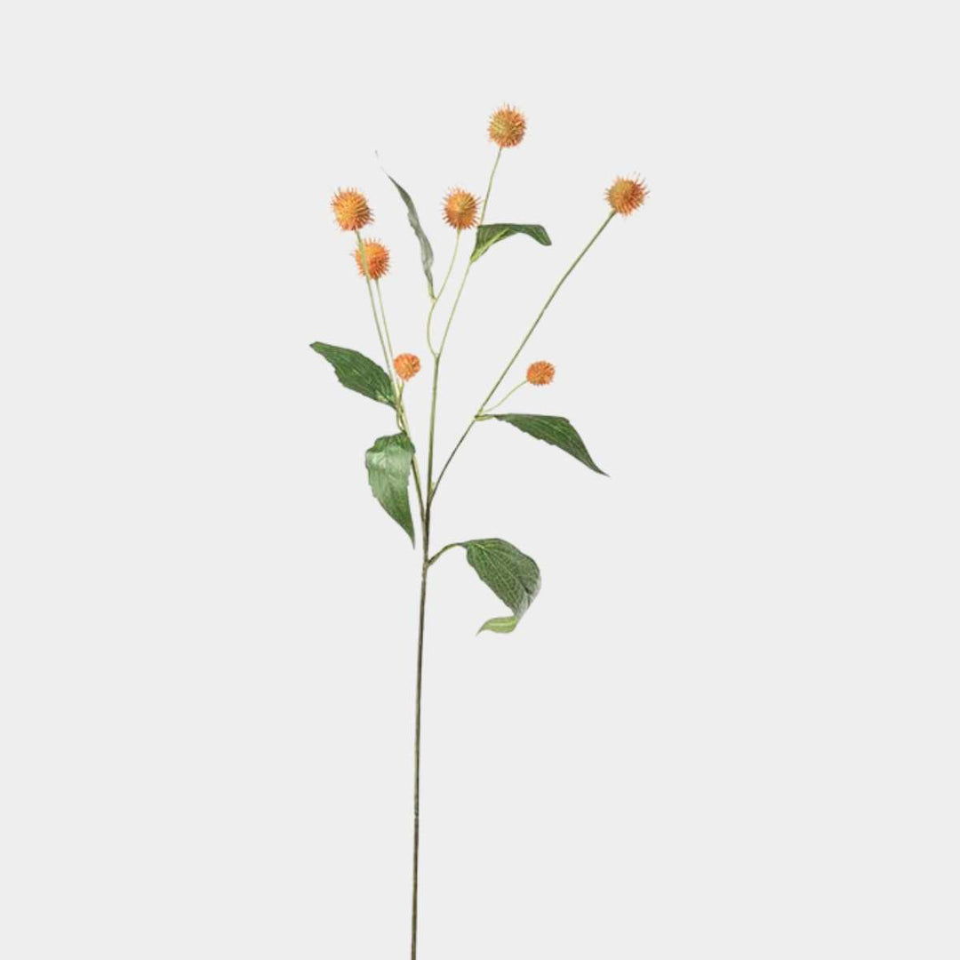 Mr.Plant Tistel 58cm