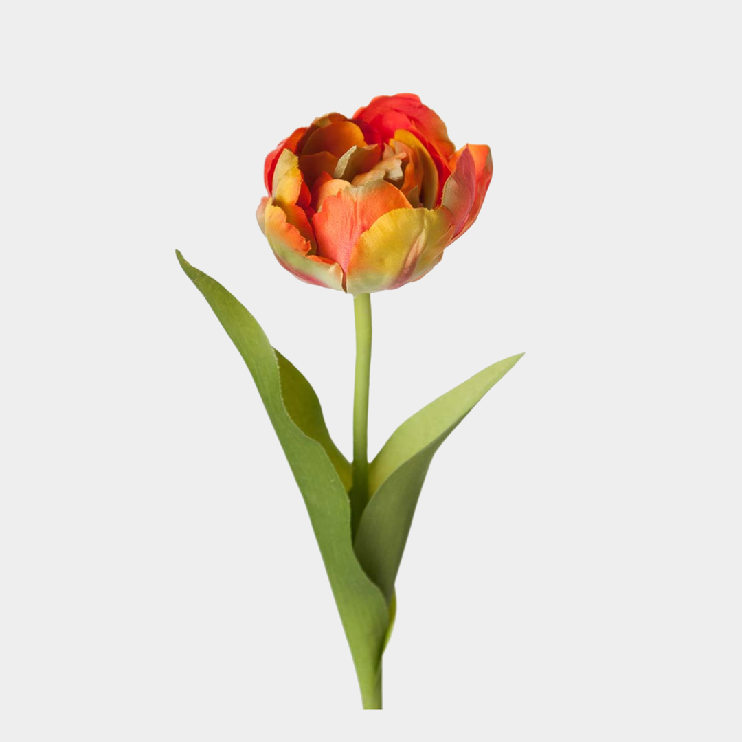 Mr.Plant Tulipan Orange 36cm