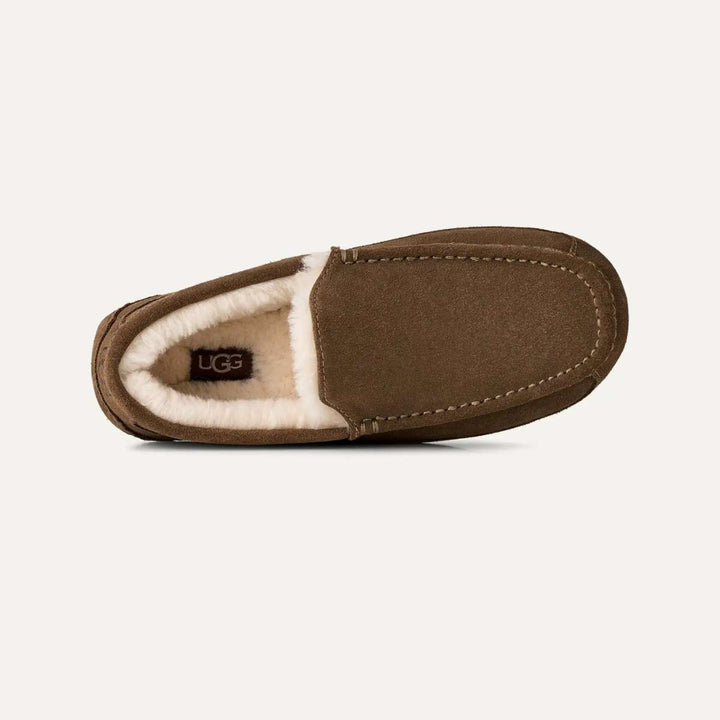 UGG Ascot Tøffel Light Bronze M