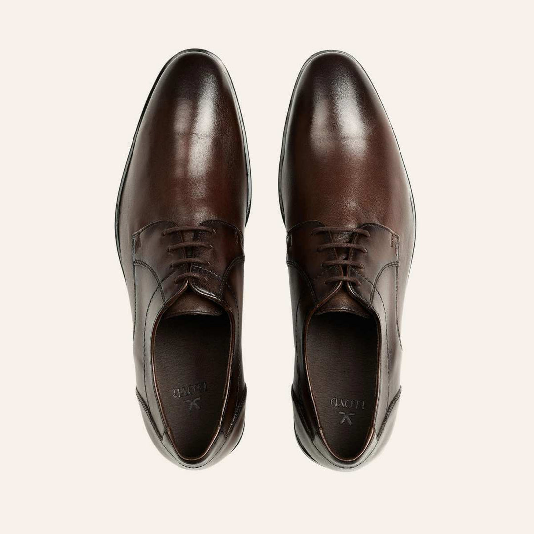 Lloyd Core 111 T.D. Moro Brown M