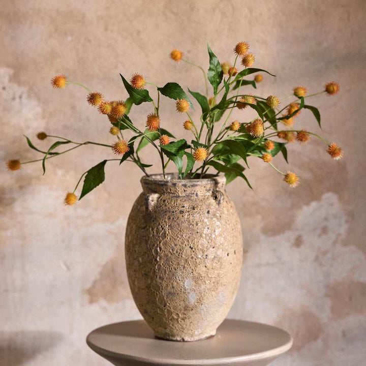 Mr.Plant Tistel 58cm