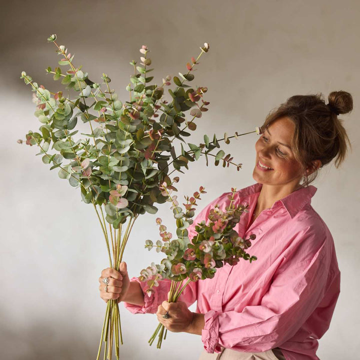 Mr. Plant Eucalyptus 60cm