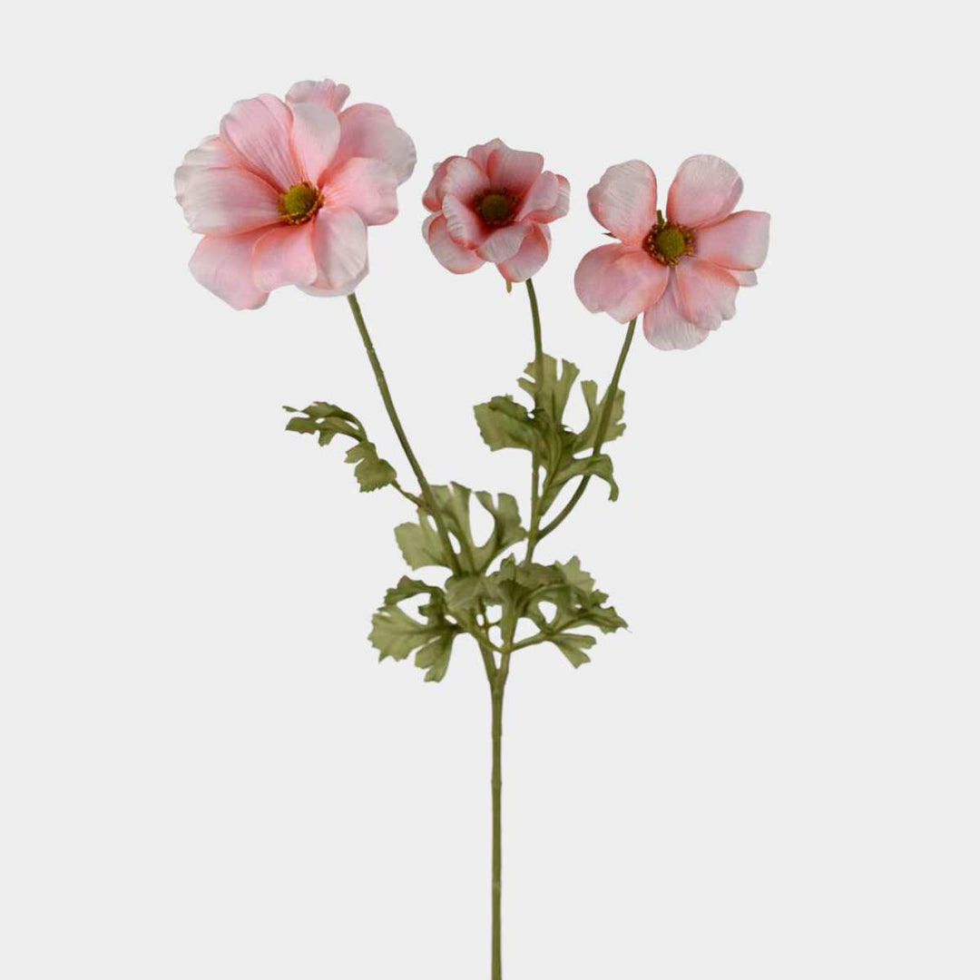 Mr.Plant ranunkel 54cm rosa