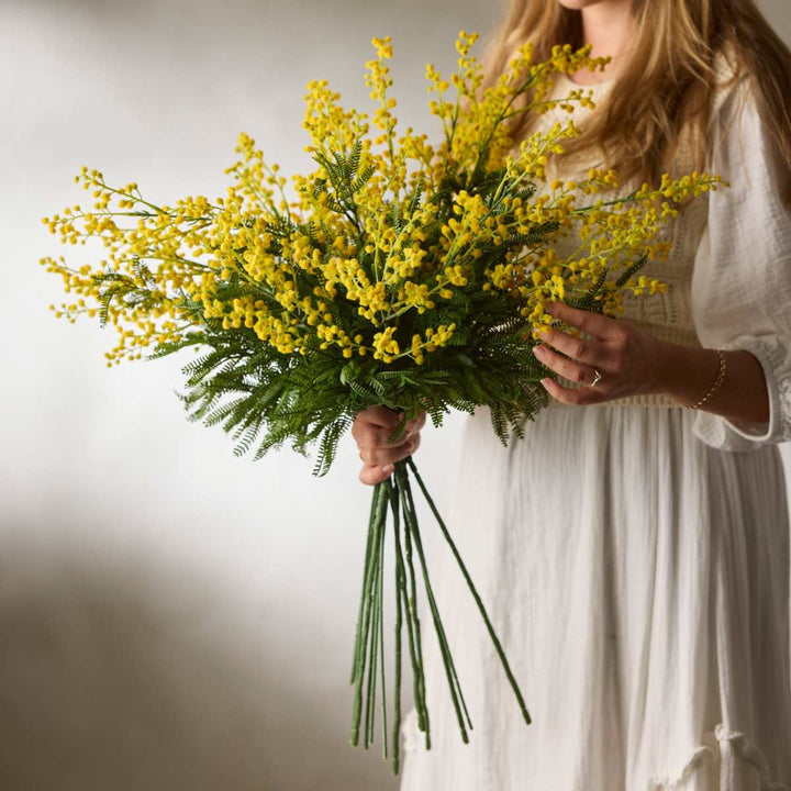 Mr. Plant Mimosa 75cm Gul