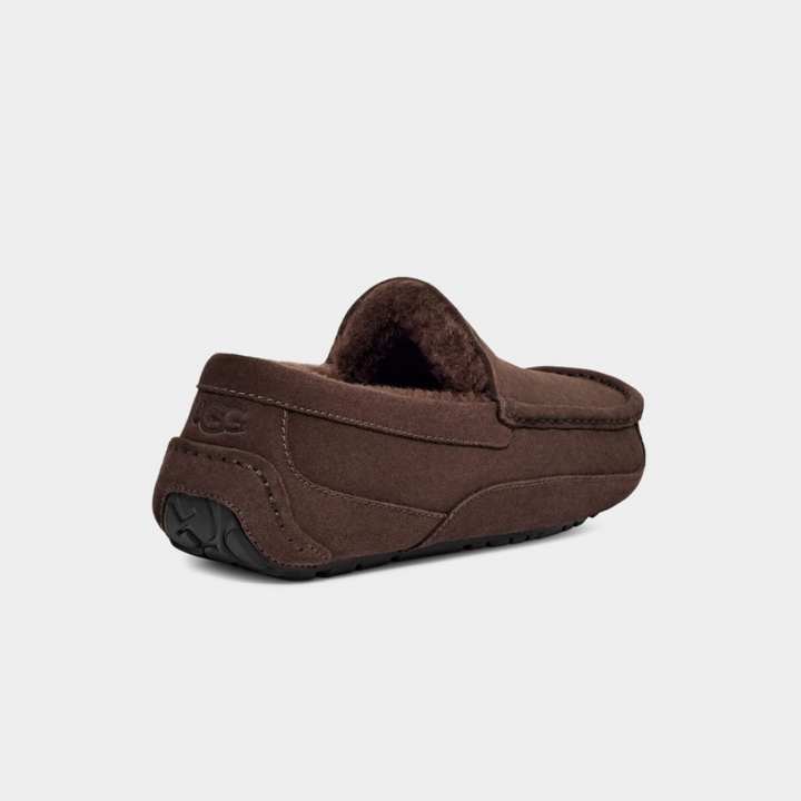 UGG Ascot Tøffel Dusted Cocoa M