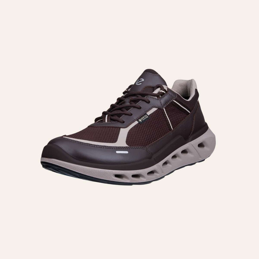 Ecco Biom 720 Mocha M