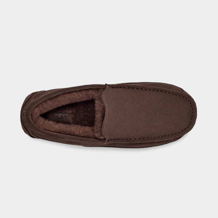 UGG Ascot Tøffel Dusted Cocoa M