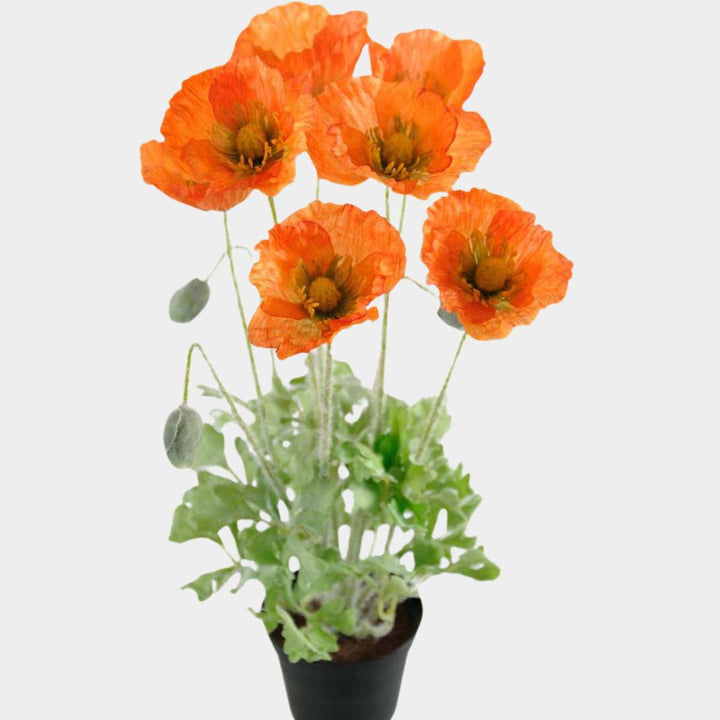 Mr. Plant Valmue 40 cm Oransje