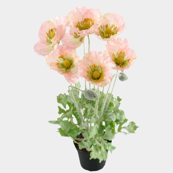 Mr. Plant Valmue 40cm Rosa