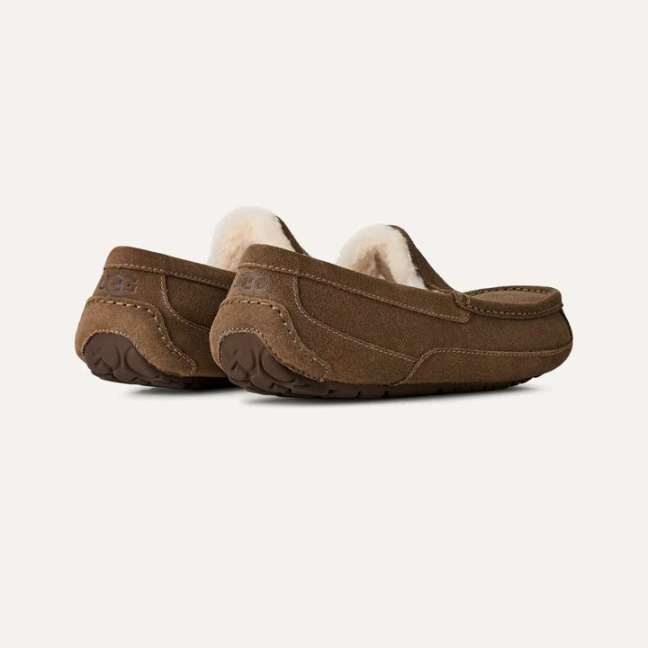UGG Ascot Tøffel Light Bronze M
