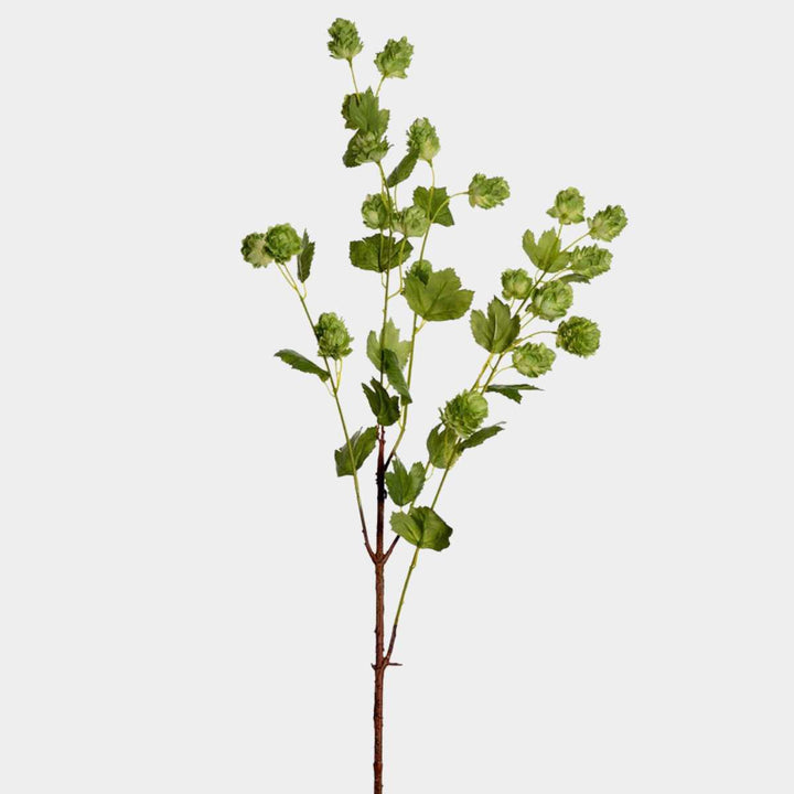 Mr.Plant Humle 90cm