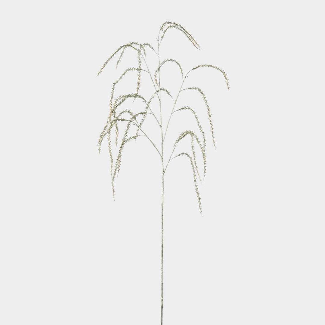 Mr.Plant Amarantus 95cm