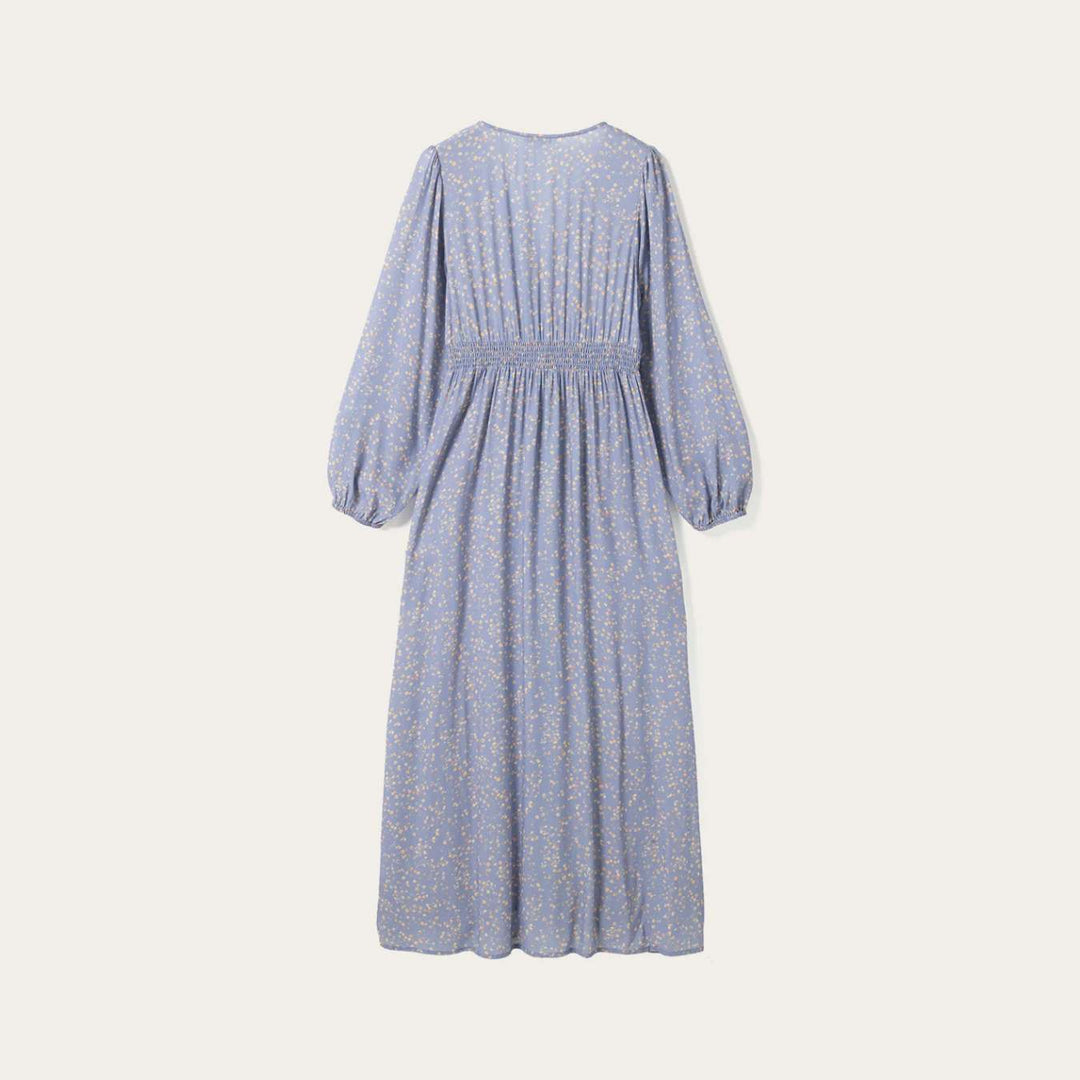 Noella Lilith Maxi Dress Donata Sky Print W
