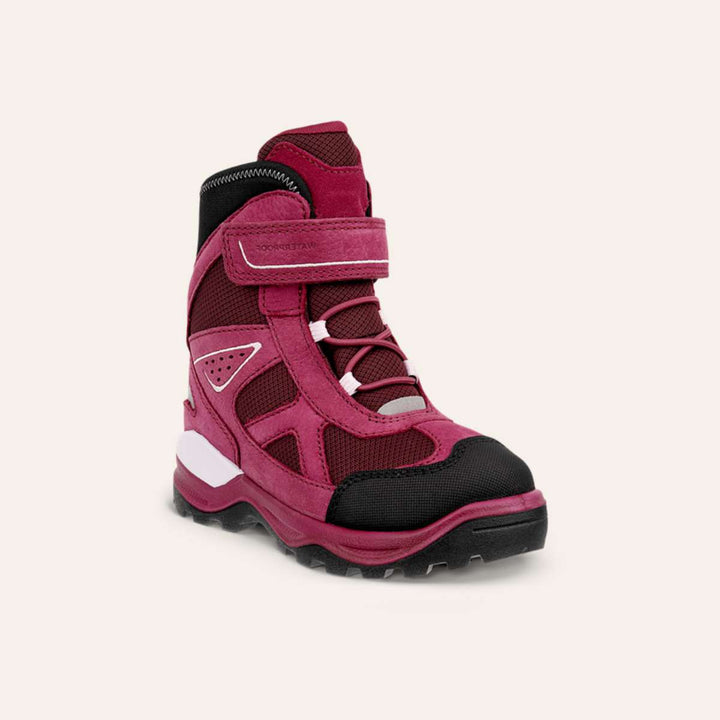 Ecco Snow Mountain Plum B