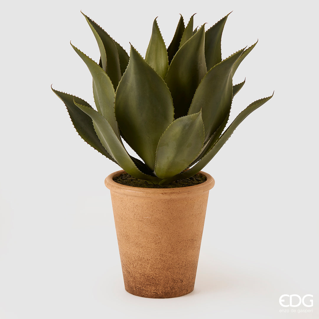EDG Plante Agave Pianta m/Vase H61 Green