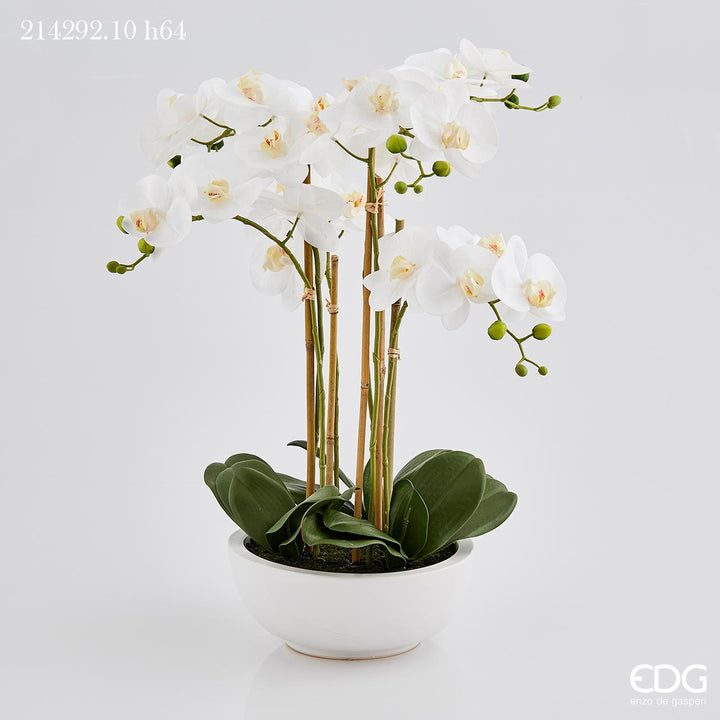 EDG Orchidea m/vase H64 Hvit