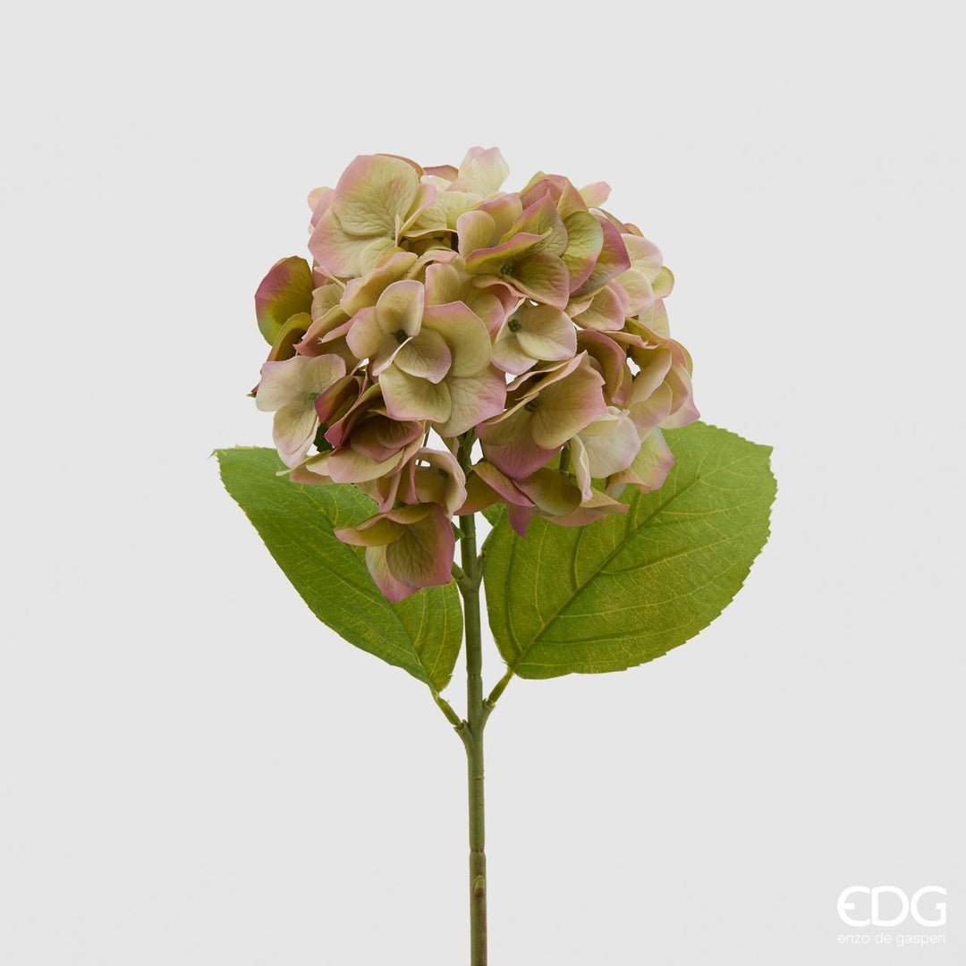 EDG Blomst Ortensia H50 Green/Pink