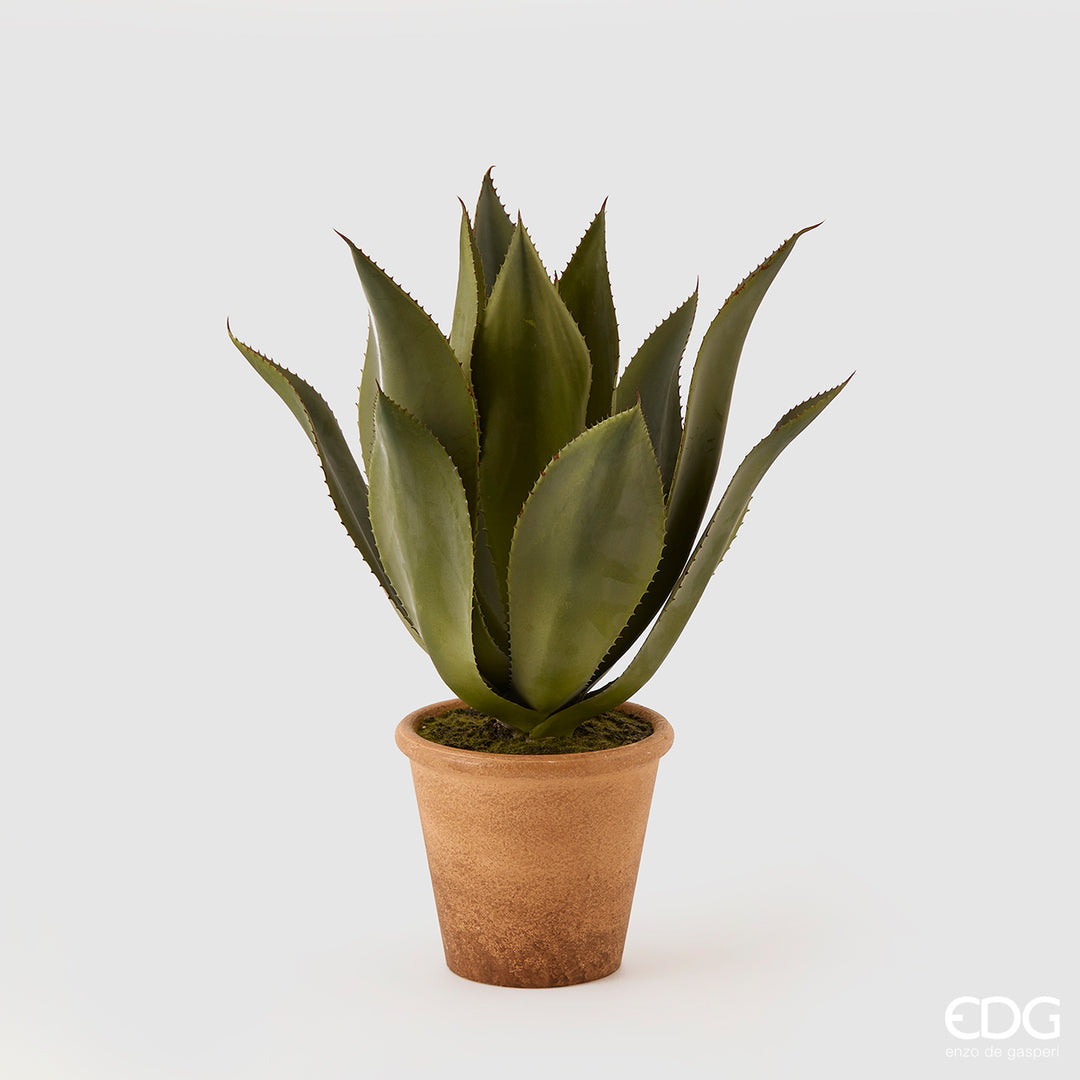EDG Plante Agave Pianta m/Vase H51 Green