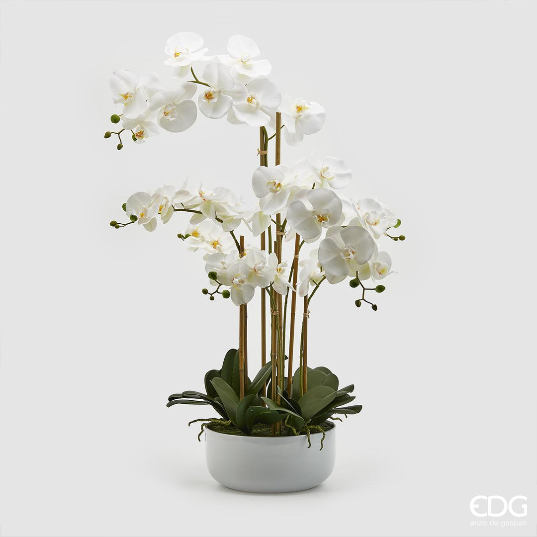 EDG Orchidea m/vase H84 Hvit