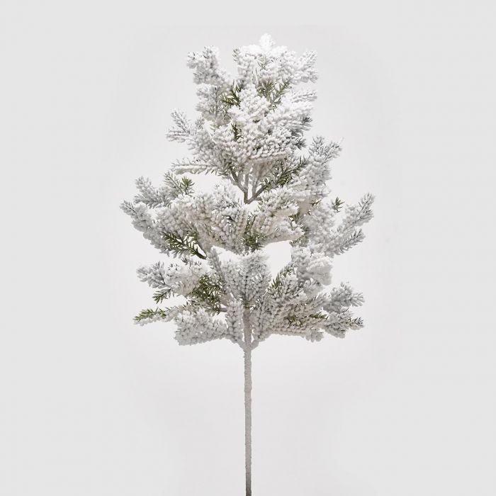 EDG Pino Superneve Ramo H66 White/Green - grangren fra EDG / Enzo De Gasperi